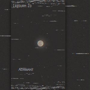 Adamant (feat. Zo)