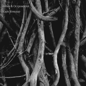 Кара кошлар