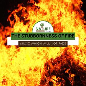 The Stubbornness of Fire - Music Which Will Not Fade