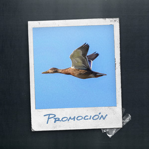 Promoción