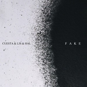 Fake (Freestyle)
