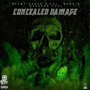 Concealed Damage (feat. Lul Maxx Backend Cool) [Explicit]