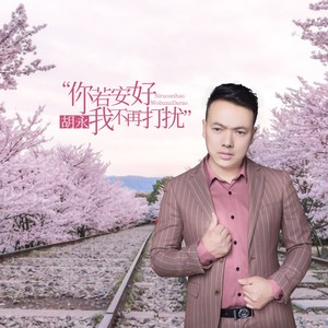 你若安好我不再打扰