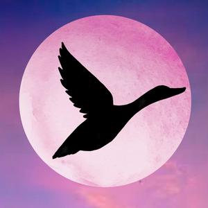 Die Schwalbe (feat. Nora Beisel)