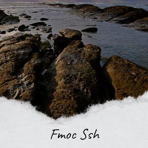 Fmoc Ssh