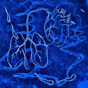 Water & Lungs(feat. Mora Grey) (Explicit)