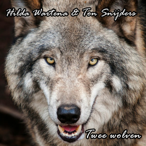 Twee Wolven