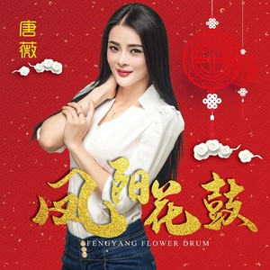 凤阳花鼓封面