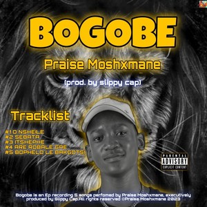 Bogobe