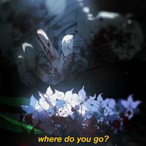 where do you go?