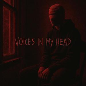 Voices In My Head