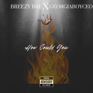 How Could You (feat. Breezy Bre)