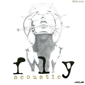 Fly Acoustic