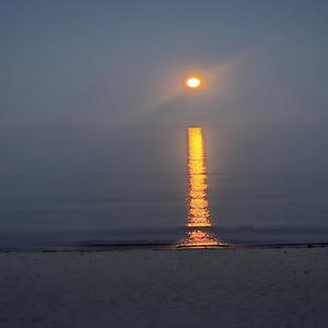 Troy (Instrumental demo)