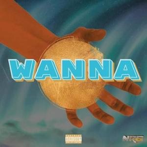 Wanna (feat. AO) [Explicit]