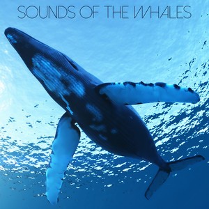 Save Our Oceans