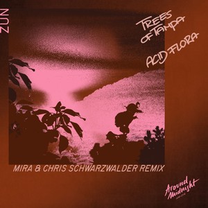 Zun (Mira & Chris Schwarzwalder Remix)