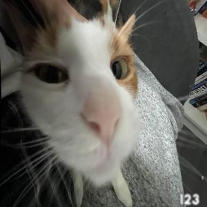 1 2 3 (feat. Takenines) (Explicit)