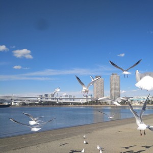 梁磊 - 两两相望 (伴奏)