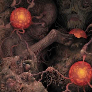 Anal Stabwound - Barzakh (Explicit)