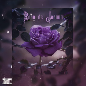 Rosa de Jasmin