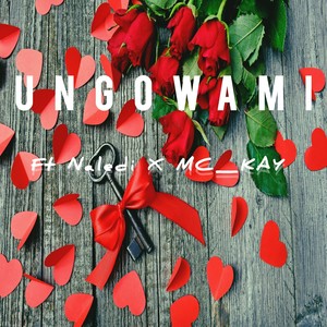 UNGOWAMI