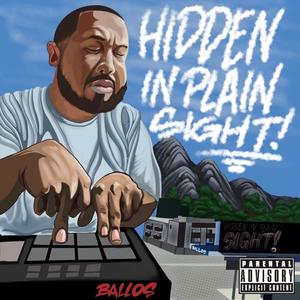 Hidden In Plain Sight, Vol. 1 (Explicit)