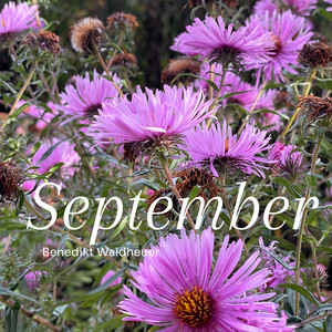 September