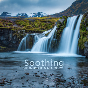 Soothing Sounds of Nature