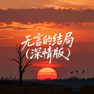 无言的结局 (深情版)封面