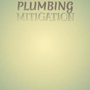 Plumbing Mitigation