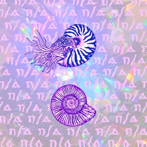Nautilus / Ammonite