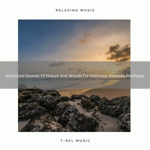 Advanced Sounds Of Nature And Woods For Delicious Absolute Recharge