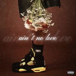 ain't no love (Explicit)