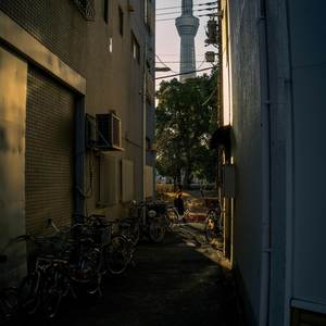 Soul Bleed (Explicit)