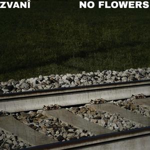 No Flowers