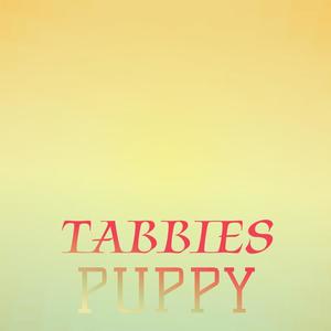 Tabbies Puppy