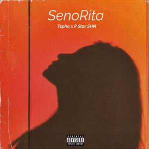 Senorita (Explicit)