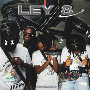 LEY 8 (Explicit)