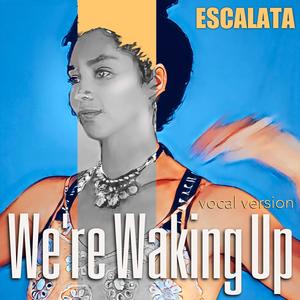 We're Waking Up (feat. dj Booker T Kings of Soul, Poppie Gleeson, Simon Hartung & Jim Dvorak)