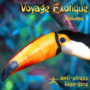 Voyage Exotique