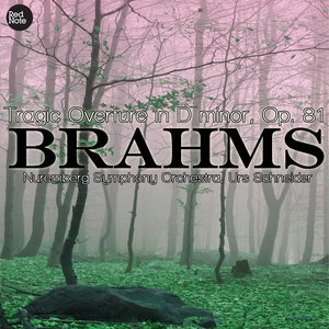 Tragic Overture in D minor, Op. 81: Overture: Allegro ma non troppo - Molto più moderato - Tempo primo ma tranquillo