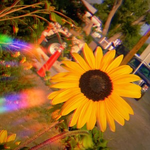 Used to Know (feat. BNE Mook) (Explicit)