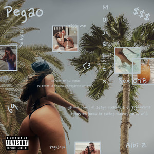 Pegao