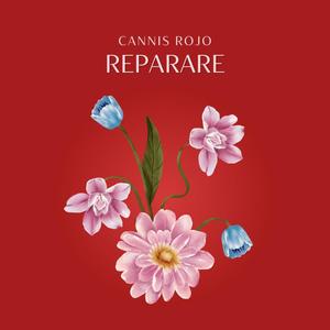 Reparare (Explicit)