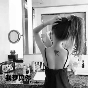 那天我给他发了一大堆文字 (Remix)