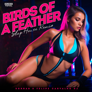 Birds Of A Feather (Slap House Remix)