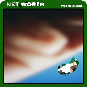Net Worth