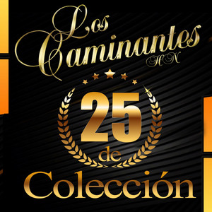 25 de Colección