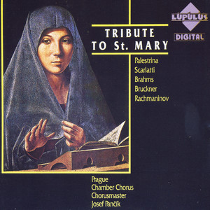 Ave Maria (圣母颂)